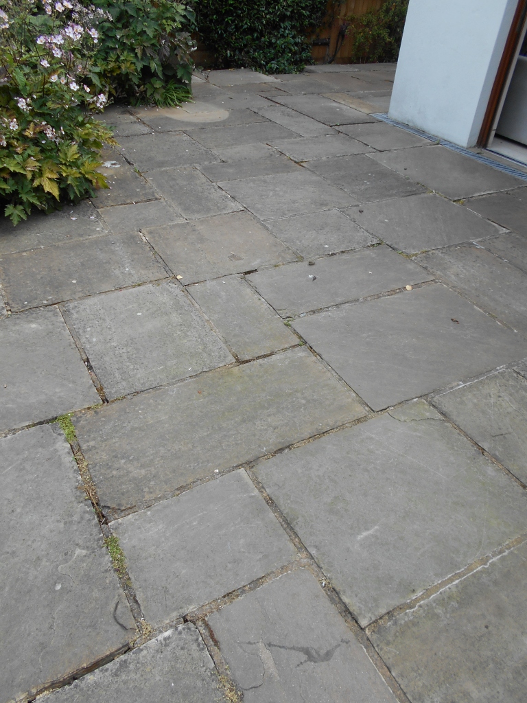 sandstone patio tiles that are very grey and have allot of mold on them